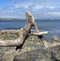 Природа припасла для нас еще немного чудес
