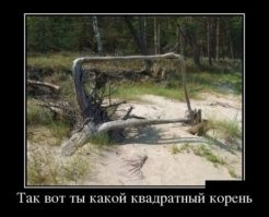 Природа припасла для нас еще немного чудес