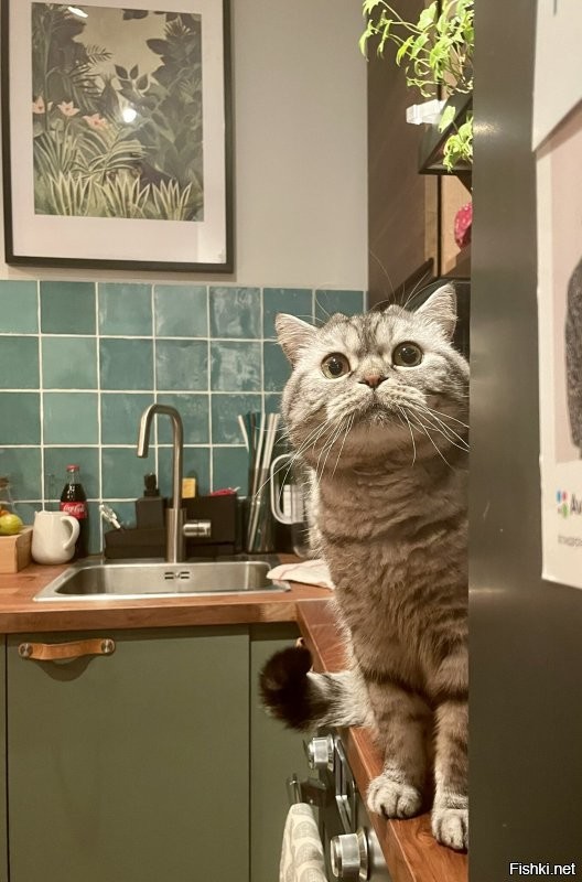 Солянка от 04.01.2022