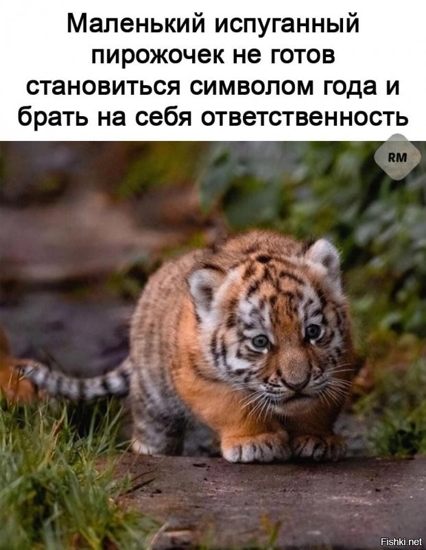 Солянка от 04.01.2022