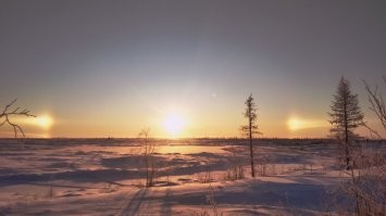 Природа припасла для нас еще немного чудес
