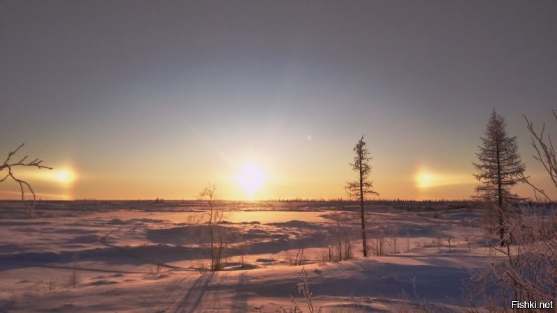 Природа припасла для нас еще немного чудес