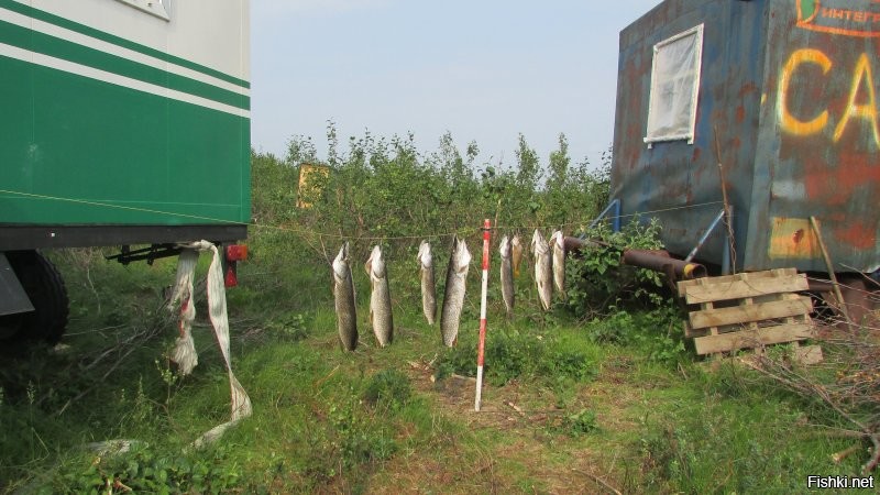 Место, откуда были сделаны те фото. Разрешение на яндексе не очень, на гугле совсем плохое. можно посмотреть на бинге, или еще где.