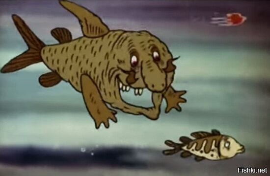 Солянка от 04.01.2022