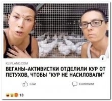 Этих кур (на переднем плане) даже пьяные ослолюбы в темноте насиловать не станут,имхо...