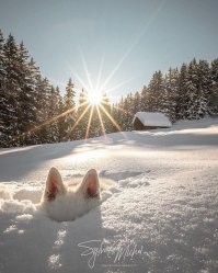 Фотоподборка