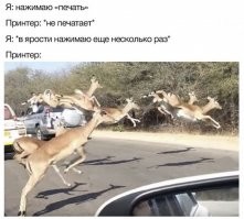 Принтер: Ошибка очереди печати.