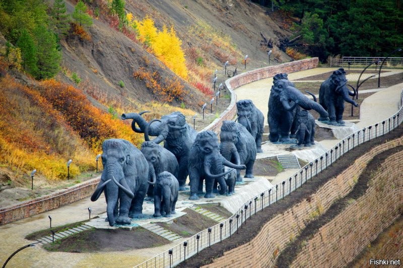 Там этих мамонтов!!!