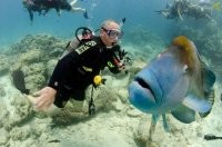 Дональд Трамп решил баллотироваться президентом океана?