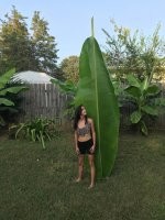 Могу предположить, что в девочке где-то метра 1,5?