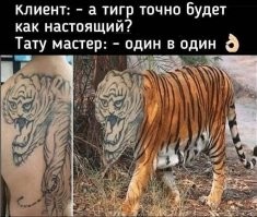 Это ж к году тигра. Чтоб соответствовать...