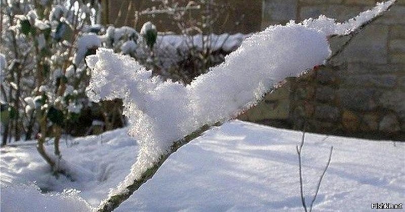 Сказочного утра)