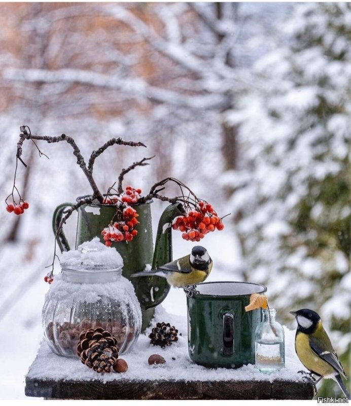 Солянка от 05.01.2022