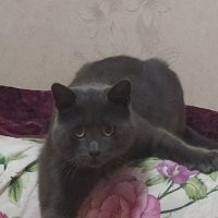 С добрым утром!