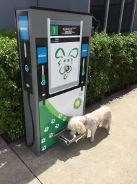 Хорошая попытка, BP, но deepwater horizon мы не забыли!