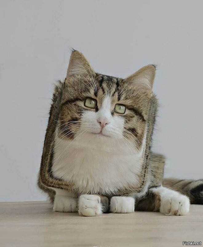 Да нормально всё.