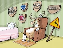 Смешные и познавательные картинки