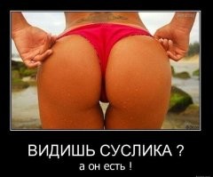 Смешные и познавательные картинки