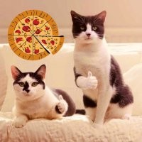 Очаровательные кошки в живописи Марии Павловой