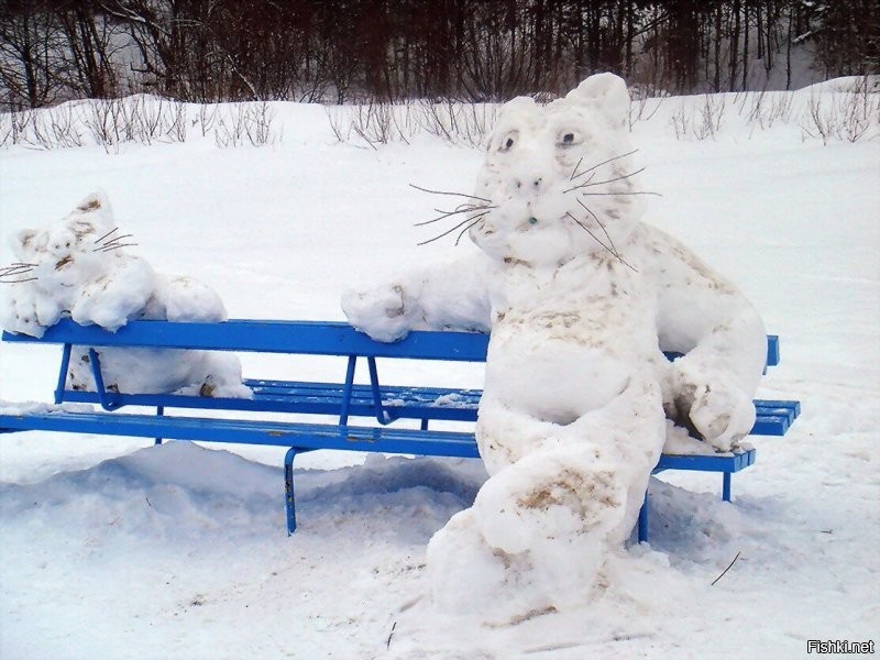 Доброе утро