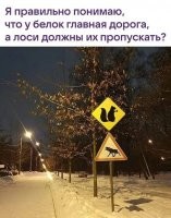 Да нет, это просто предупреждение "лоси с белочкой".