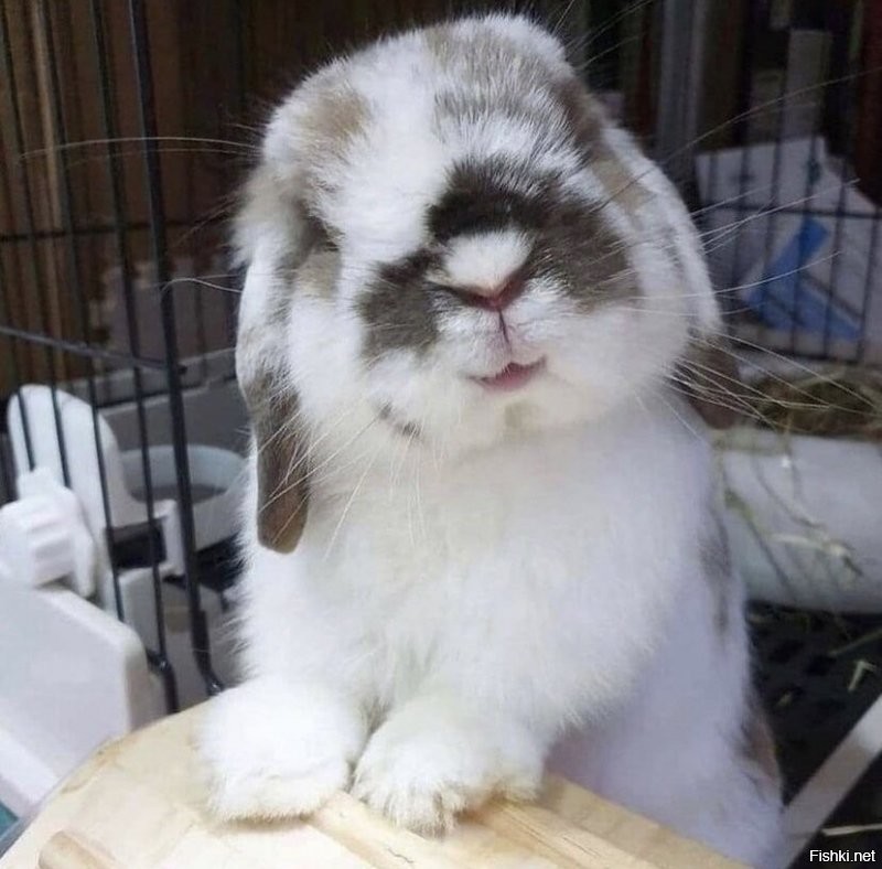 Солянка от 06.01.2022