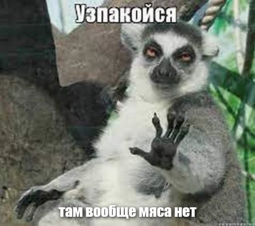 Смешные и познавательные картинки