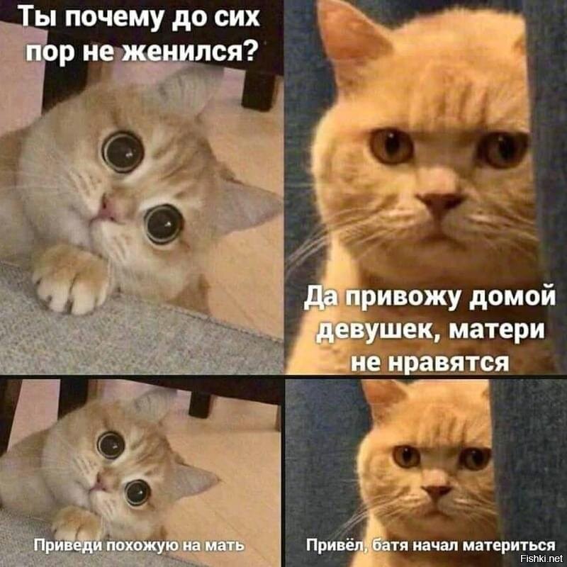 Солянка от 06.01.2022