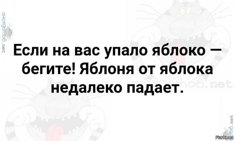 Солянка от 06.01.2022