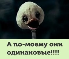 Чем отличается "сервелат" от "салями"