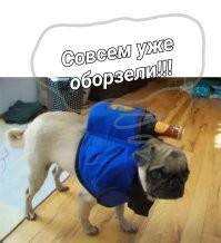 Просто гифки, всякие и разные