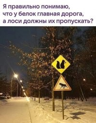 Берегите белок, берегитесь лосей.