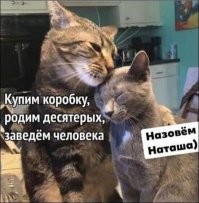 Смешные и познавательные картинки