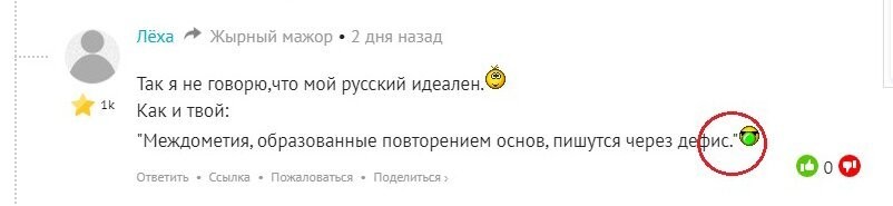 Второклассник спас целое собачье семейство