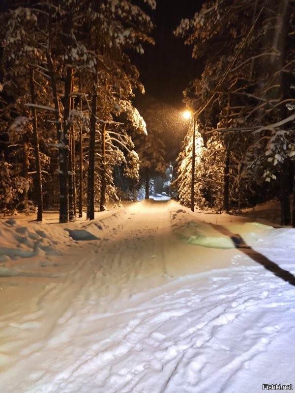 Солянка от 07.01.2022