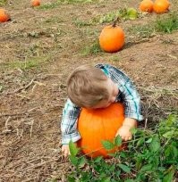 "Не секрет, что друзья не растут в огороде" - у кого то растут.... Главное- вовремя сорвать.