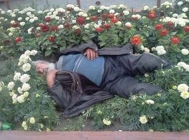 "Не секрет, что друзья не растут в огороде" - у кого то растут.... Главное- вовремя сорвать.