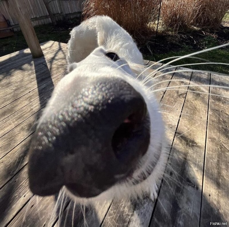 Солянка от 07.01.2022