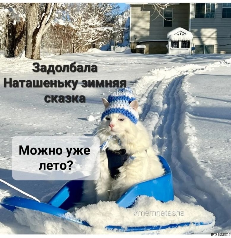 Солянка от 07.01.2022