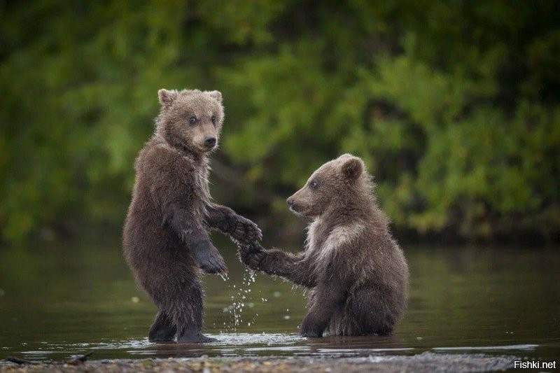 Солянка от 07.01.2022