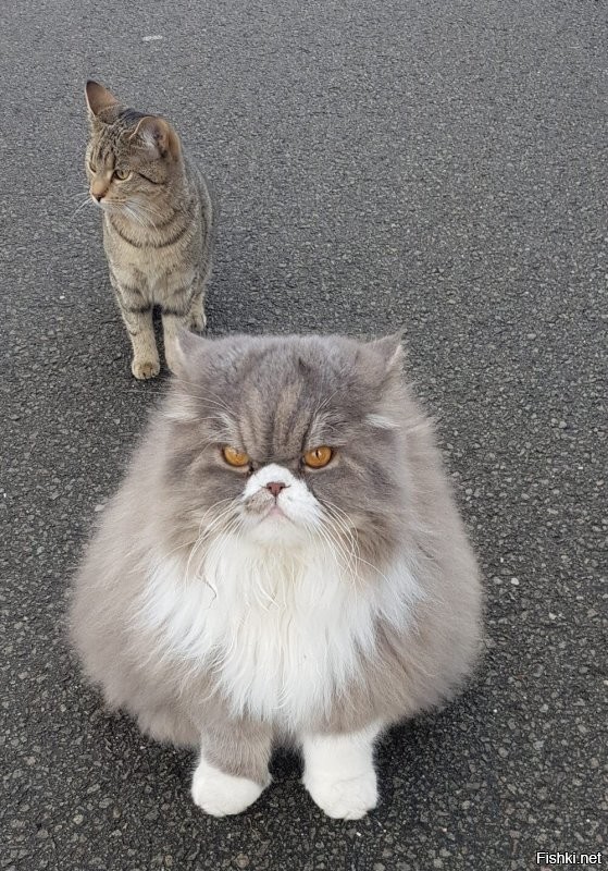 Солянка от 07.01.2022