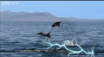 Подзаряжаются.