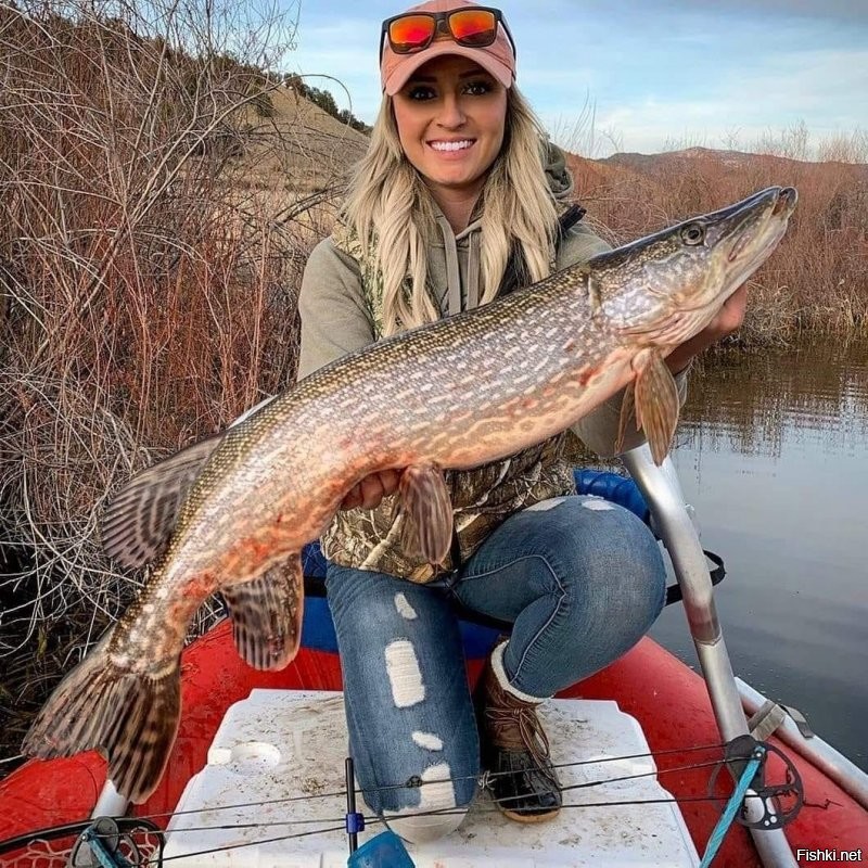 Солянка от 08.01.2022