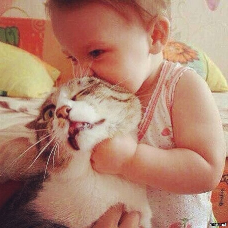 Доброе утро