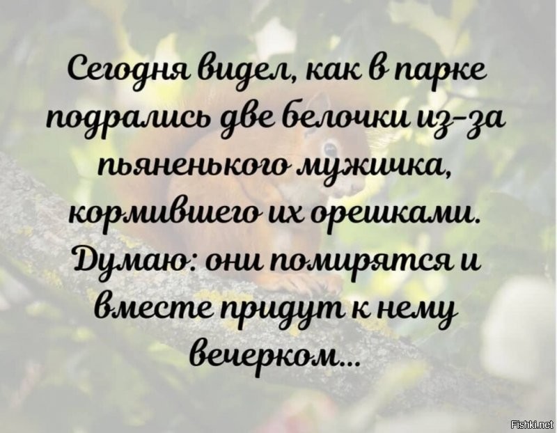 Солянка от 08.01.2022