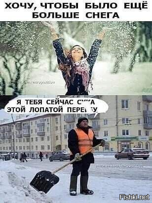 Солянка от 08.01.2022