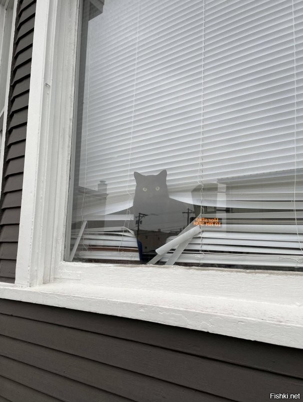 Солянка от 08.01.2022