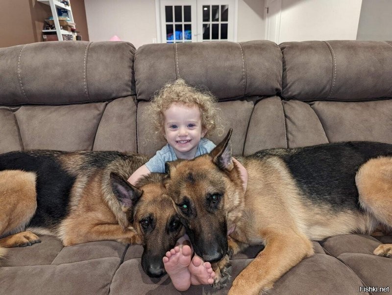 Солянка от 08.01.2022