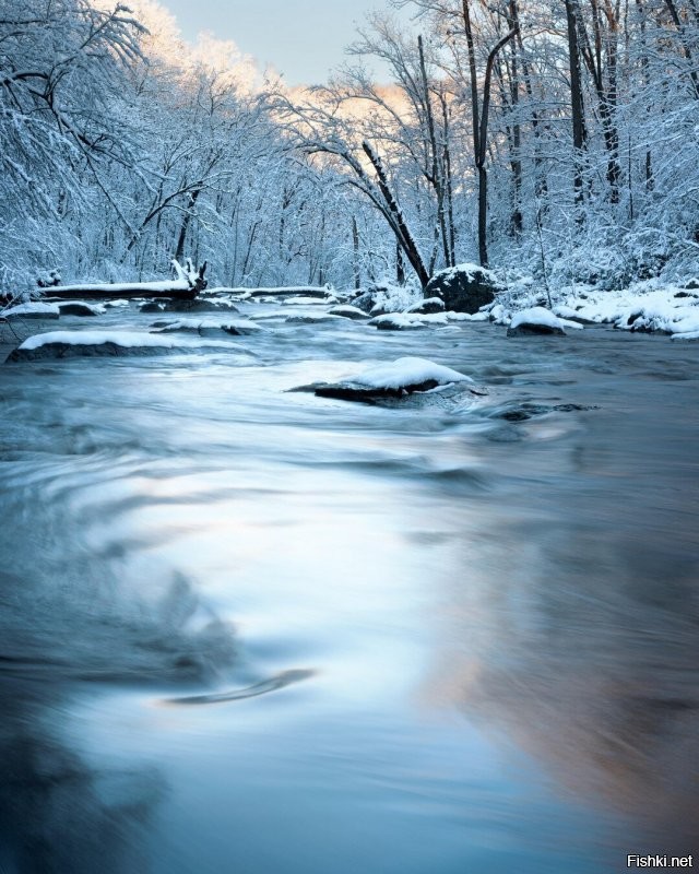 Солянка от 08.01.2022