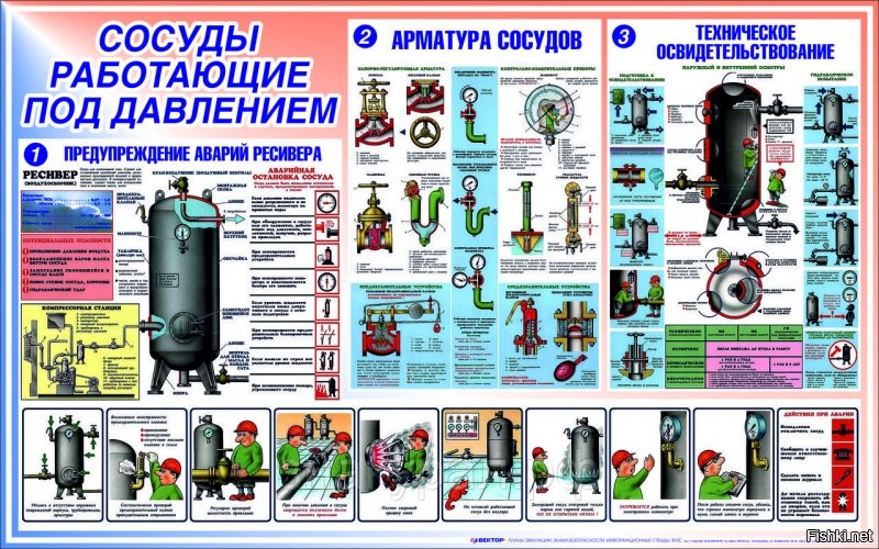 Сиськи, сиськи
